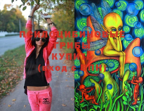 PSILOCYBIN Арсеньев