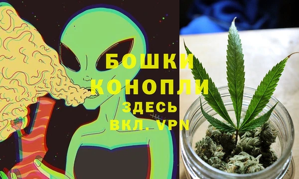 PSILOCYBIN Арсеньев