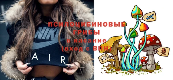 PSILOCYBIN Арсеньев