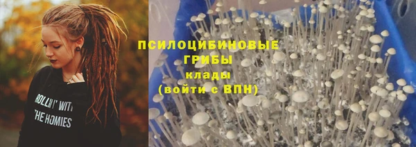 мескалин Аркадак