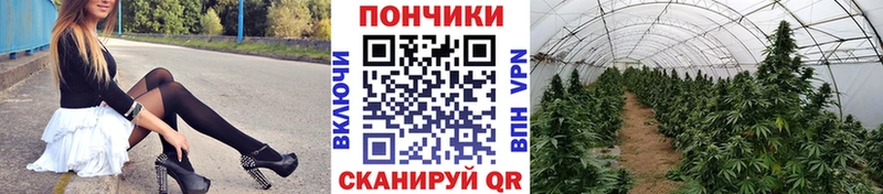 Бошки Шишки SATIVA & INDICA  Кунгур 